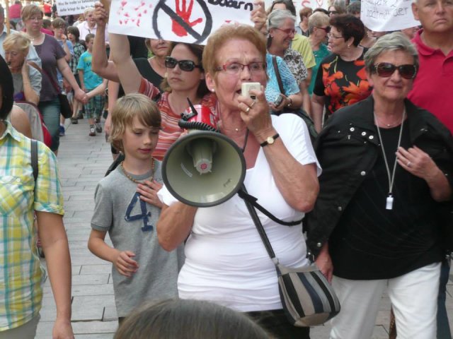 02. Juli 2013 Demo und Stadtratsitzung